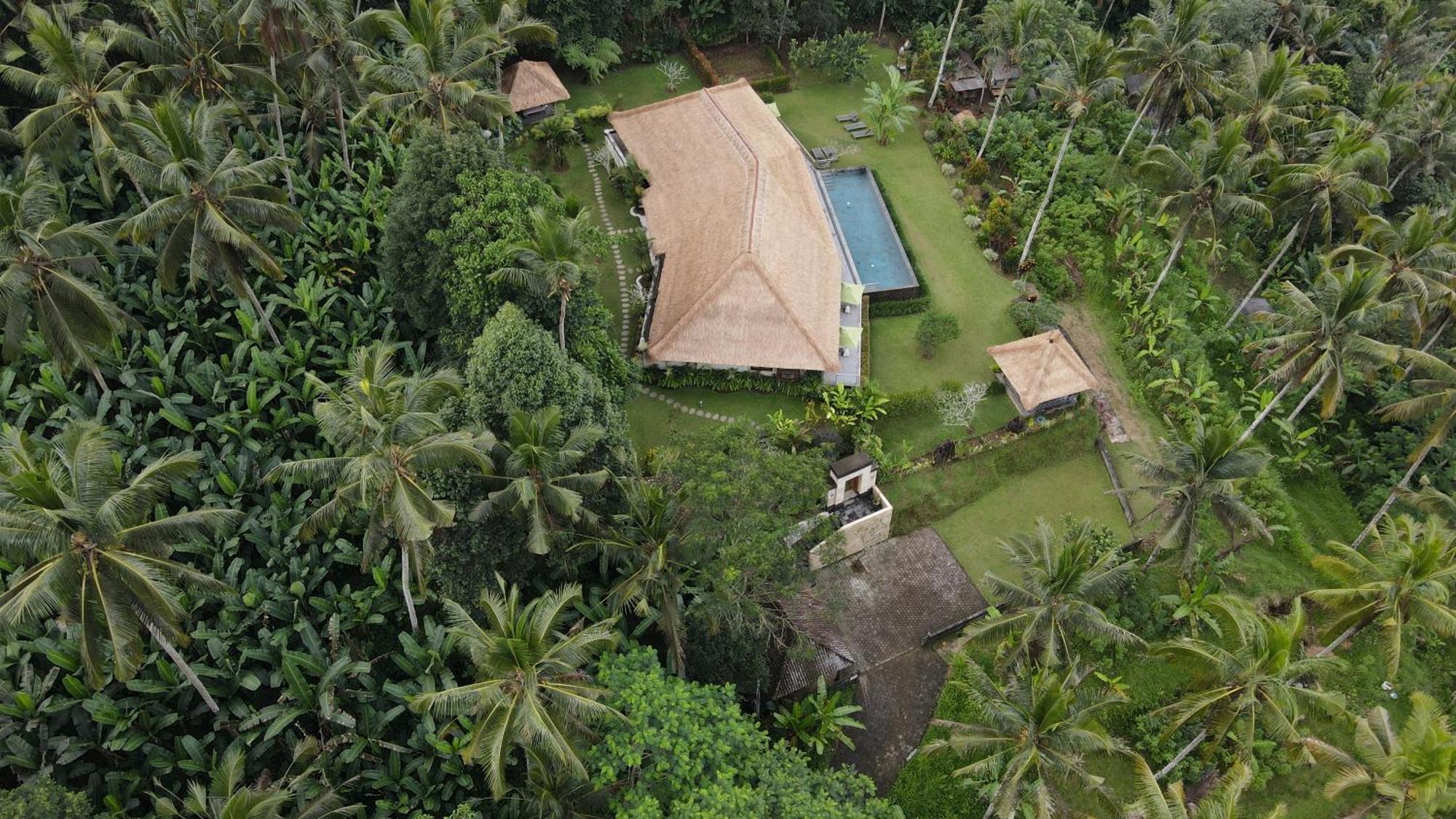 Villa Themma Jungle - Sumptuous 3Br Luxury Villa With Majestic Jungle View North Of Ubud Exterior foto
